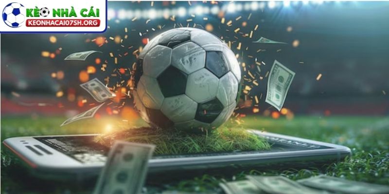 Cá Cược Hiệu Quả Dài Hạn – Nền Tảng Tham Gia Bền Vững 4 Chia vốn thành nhiều phần giúp chơi ổn định hơn