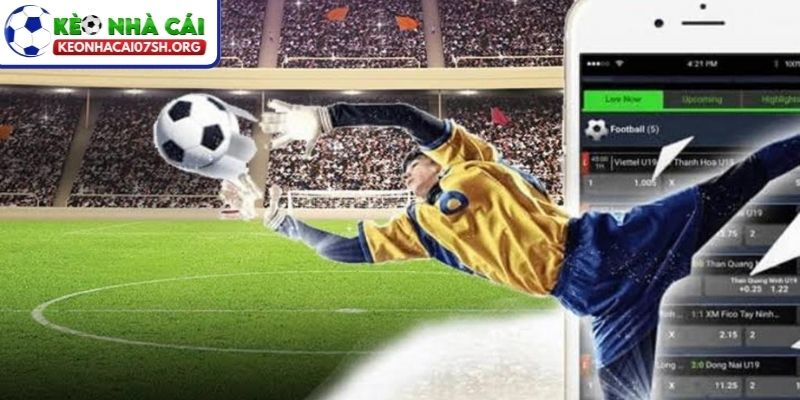 Soi Kèo Trước Trận Hiệu Quả Nhất Cho Người Mới Bắt Đầu 4 Điều kiện của sân cỏ