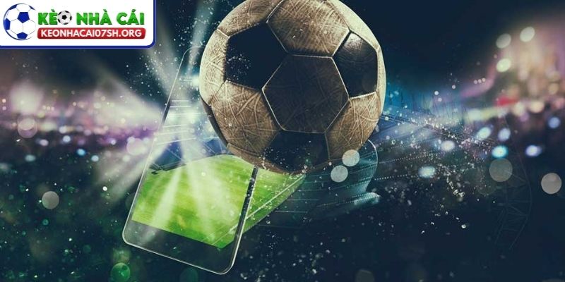 Soi Kèo Trước Trận Hiệu Quả Nhất Cho Người Mới Bắt Đầu 2 Tổng hợp các dạng soi kèo trước trận bạn nên biết